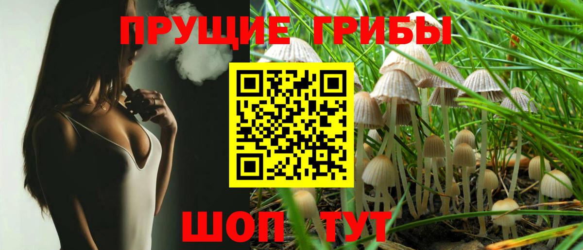 Псилоцибиновые грибы мухоморы Острогожск